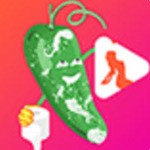 天美视频apk下载入口